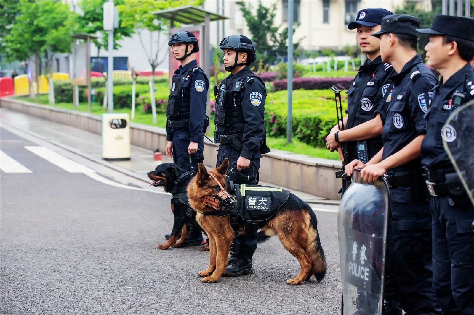 湖南球王会体育管理有限公司
