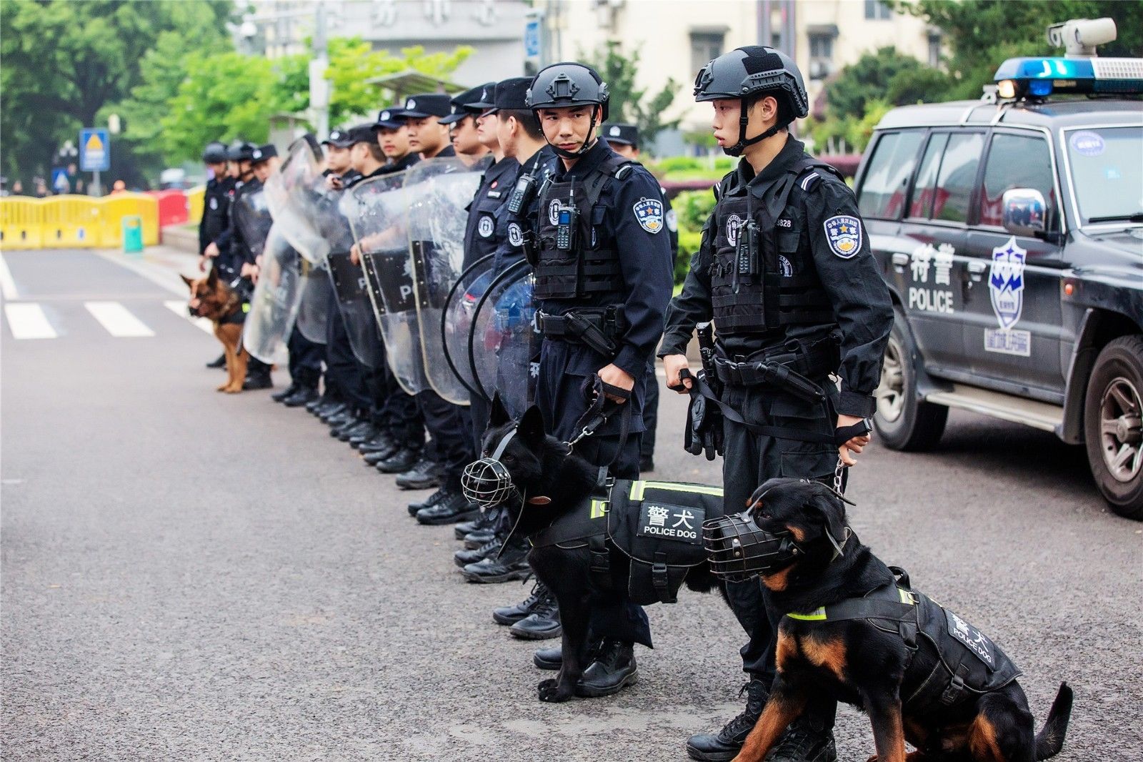 湖南球王会体育管理有限公司