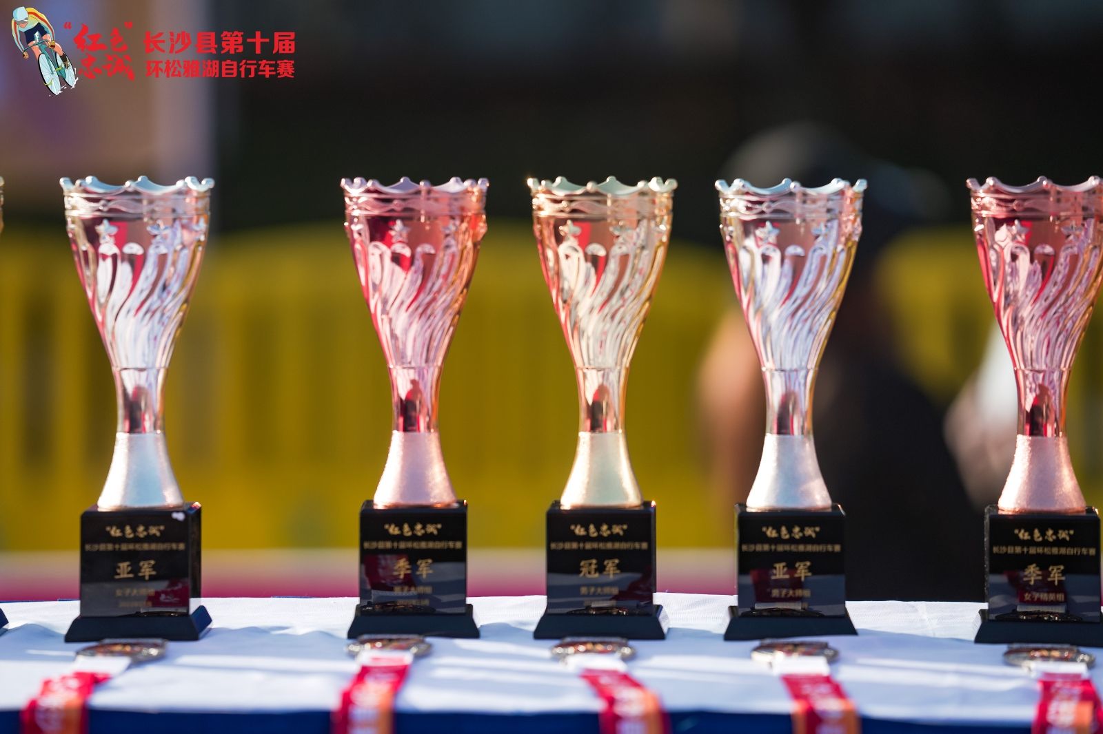 湖南球王会体育管理有限公司